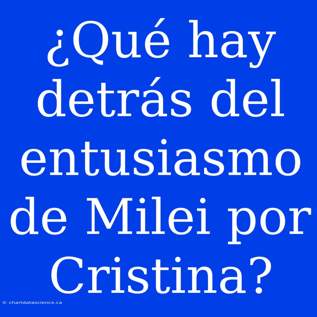 ¿Qué Hay Detrás Del Entusiasmo De Milei Por Cristina?