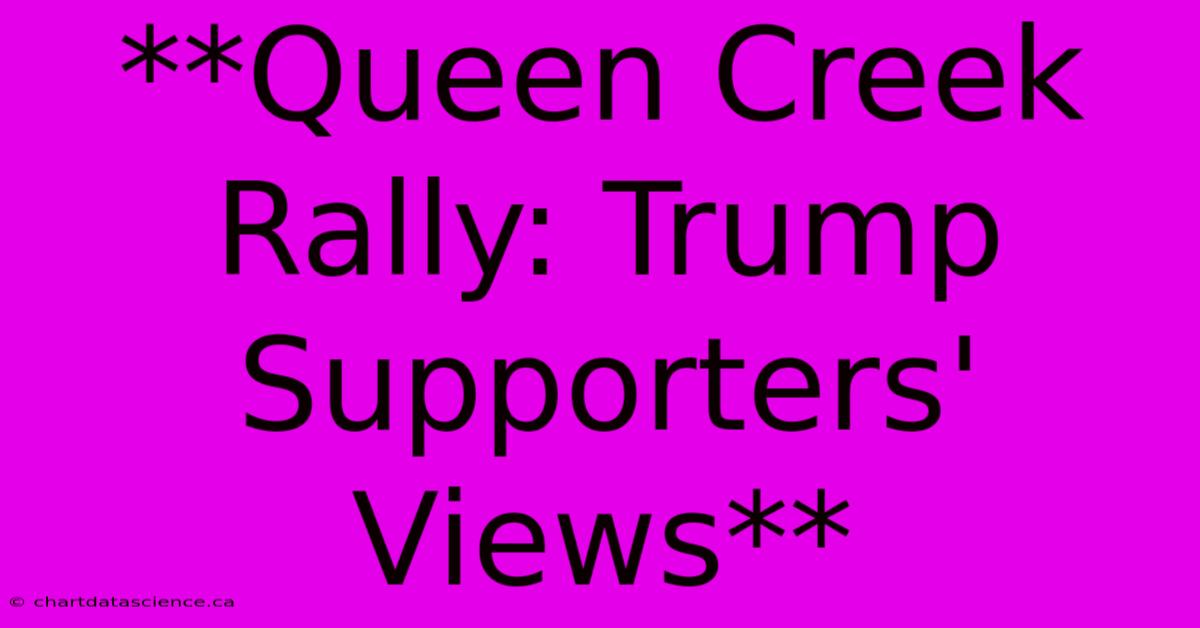 **Queen Creek Rally: Trump Supporters' Views**