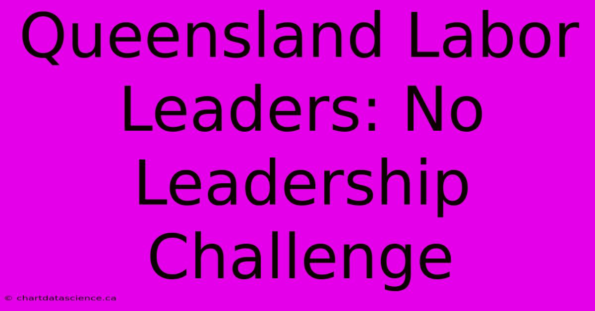 Queensland Labor Leaders: No Leadership Challenge