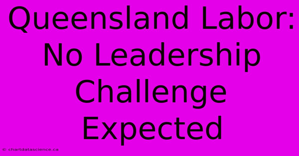 Queensland Labor: No Leadership Challenge Expected