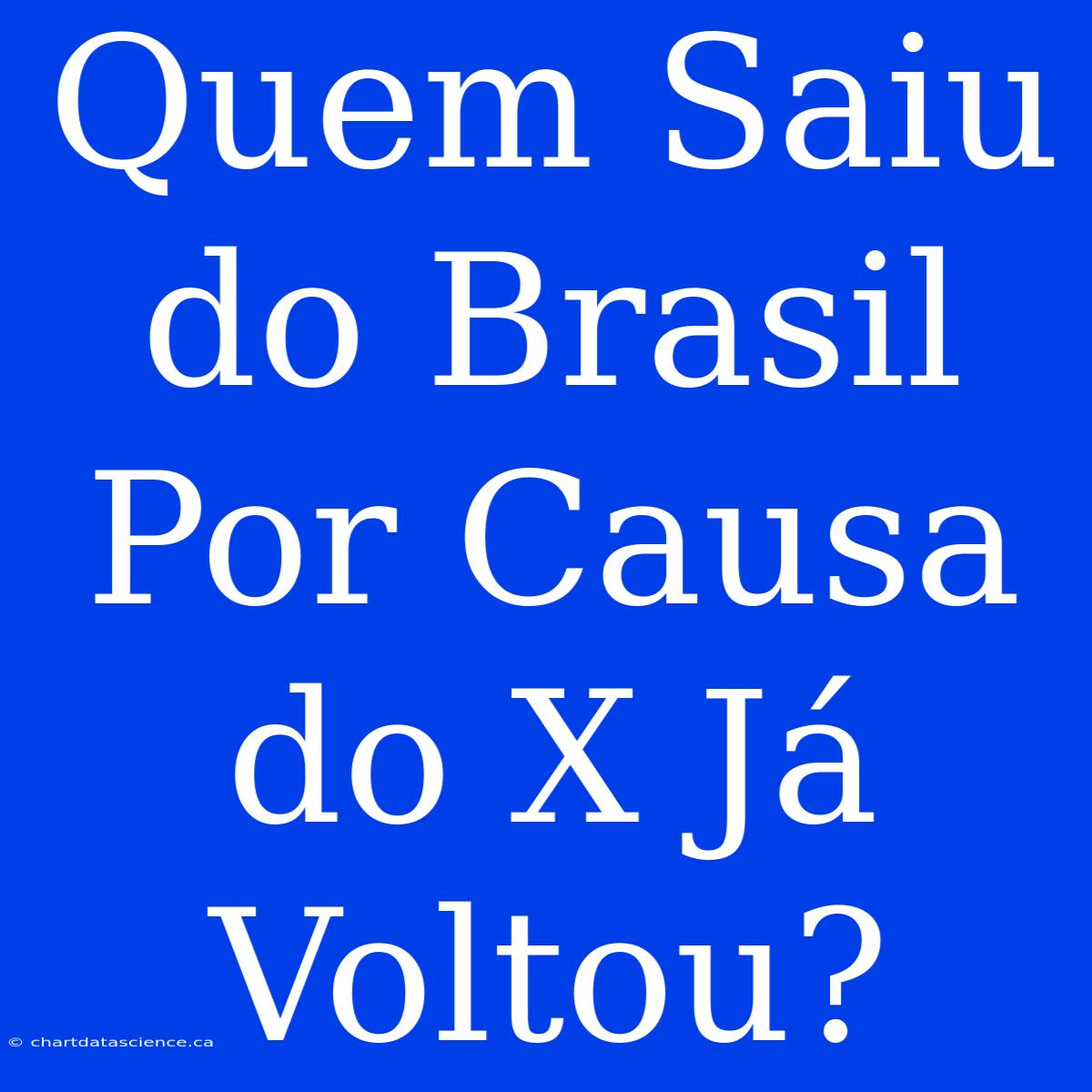 Quem Saiu Do Brasil Por Causa Do X Já Voltou?