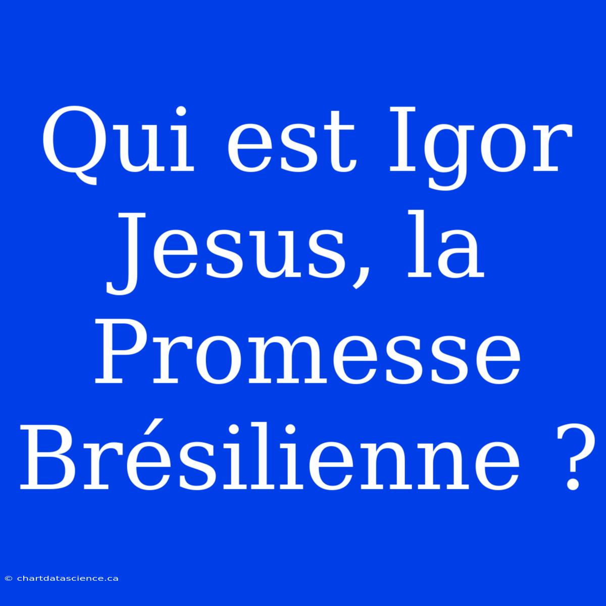 Qui Est Igor Jesus, La Promesse Brésilienne ?