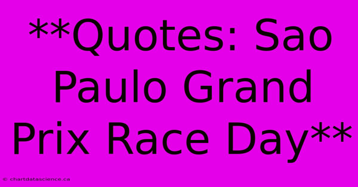 **Quotes: Sao Paulo Grand Prix Race Day**