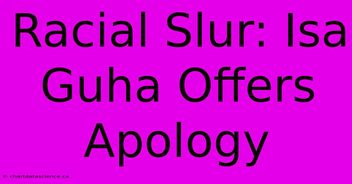 Racial Slur: Isa Guha Offers Apology