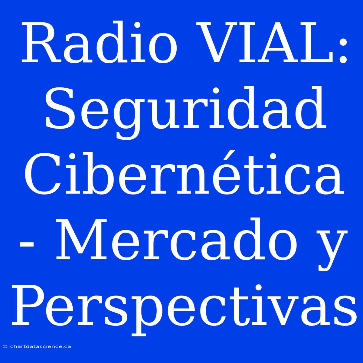 Radio VIAL: Seguridad Cibernética - Mercado Y Perspectivas