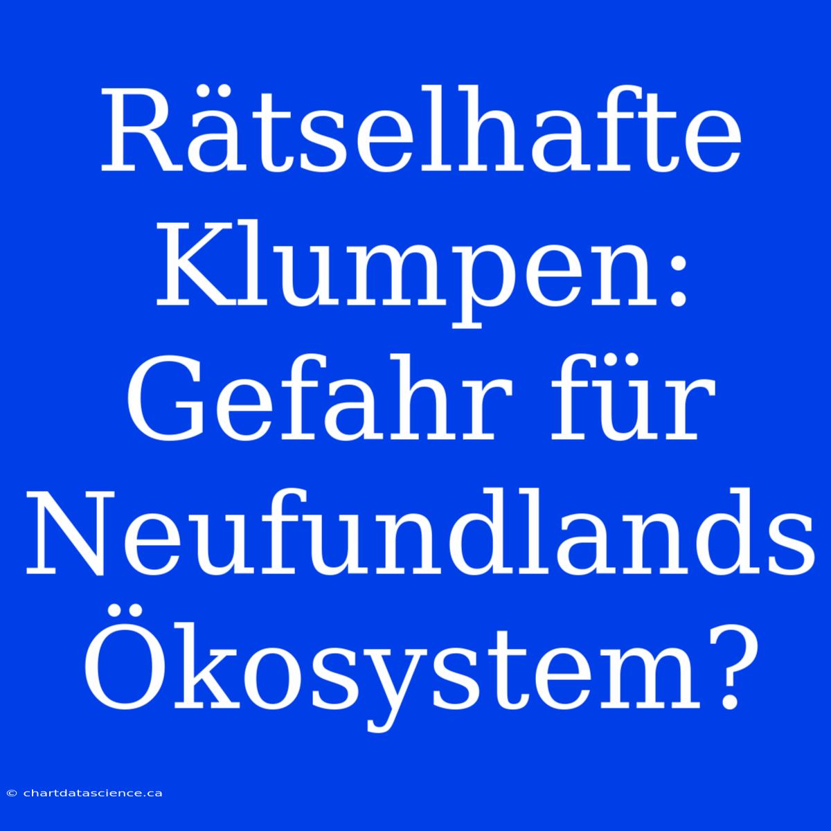 Rätselhafte Klumpen: Gefahr Für Neufundlands Ökosystem?