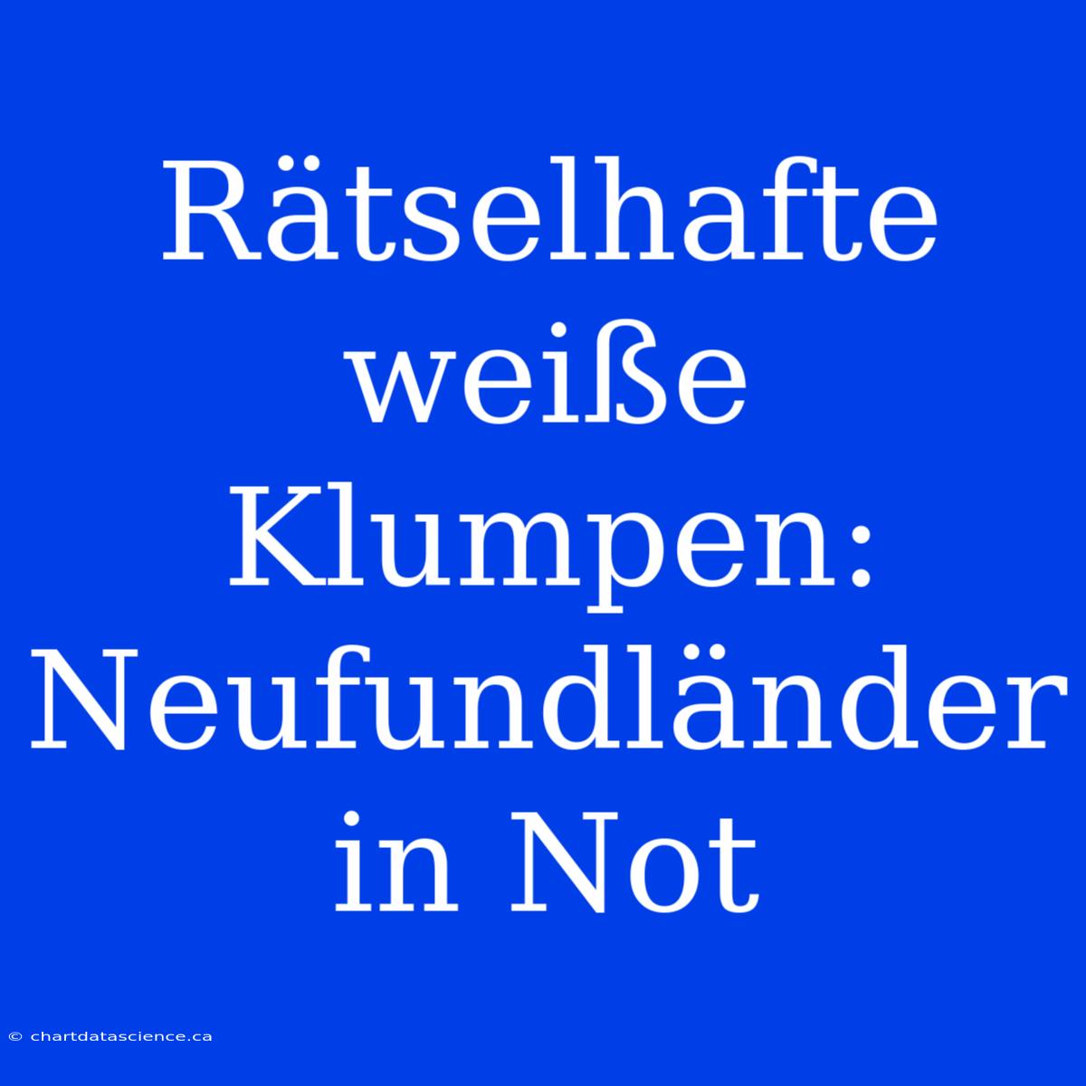 Rätselhafte Weiße Klumpen: Neufundländer In Not