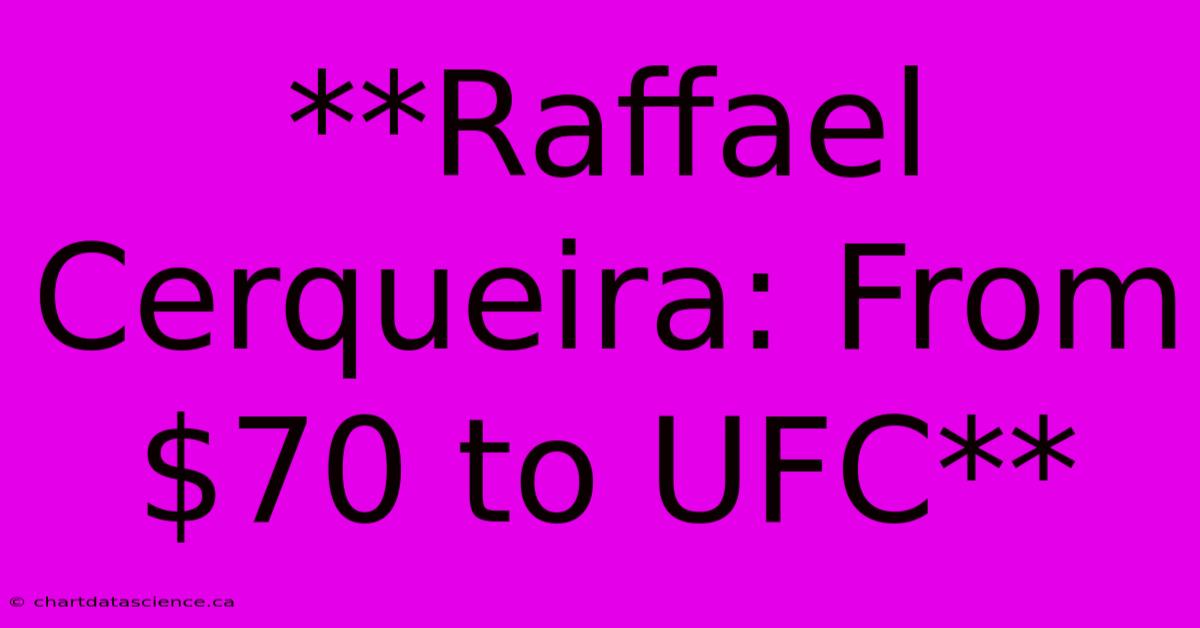 **Raffael Cerqueira: From $70 To UFC**