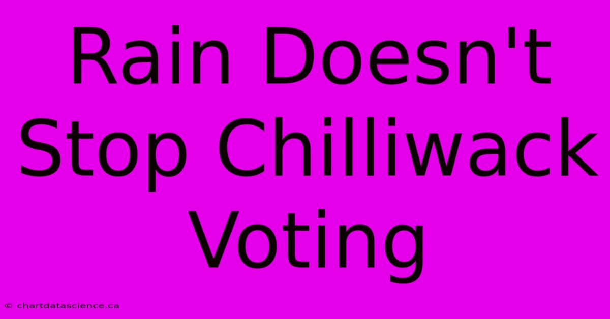 Rain Doesn't Stop Chilliwack Voting