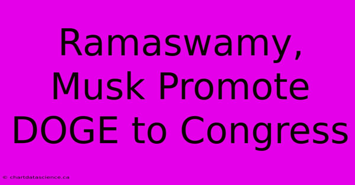 Ramaswamy, Musk Promote DOGE To Congress