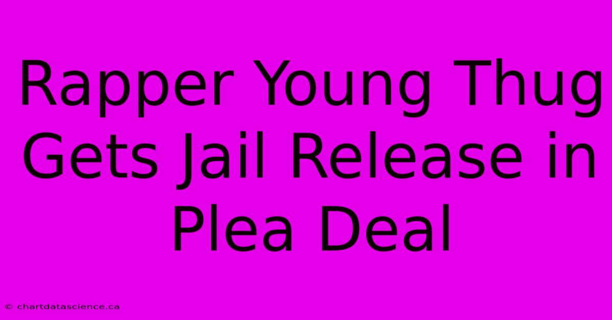 Rapper Young Thug Gets Jail Release In Plea Deal