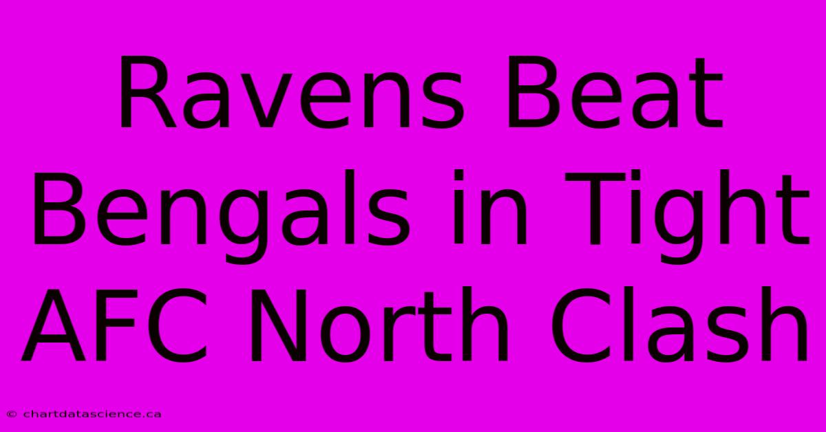 Ravens Beat Bengals In Tight AFC North Clash