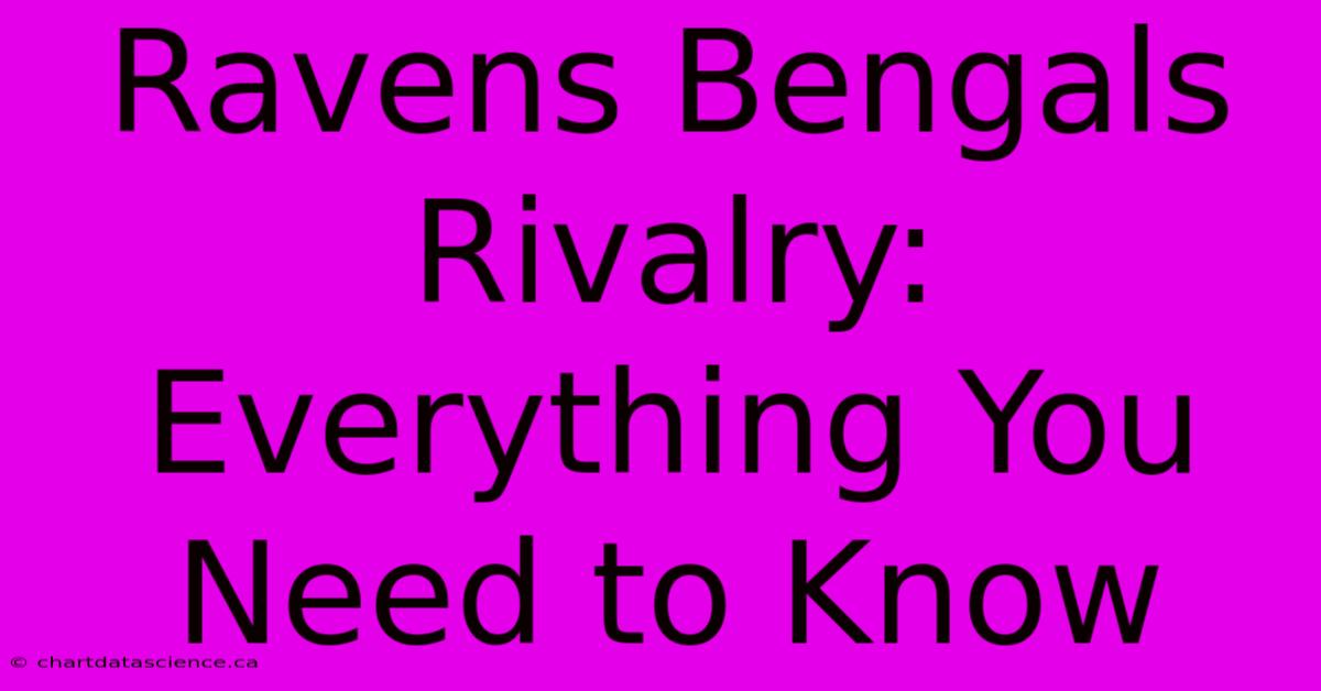 Ravens Bengals Rivalry: Everything You Need To Know