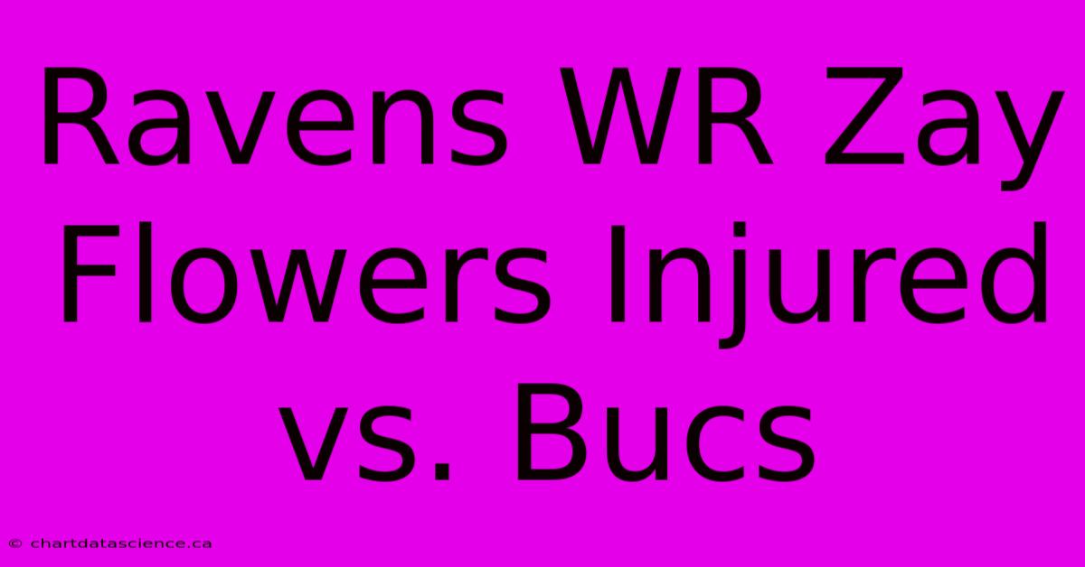 Ravens WR Zay Flowers Injured Vs. Bucs