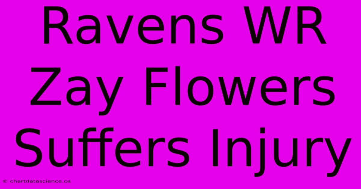 Ravens WR Zay Flowers Suffers Injury