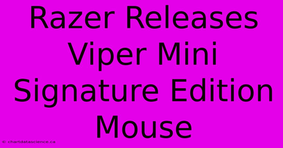 Razer Releases Viper Mini Signature Edition Mouse