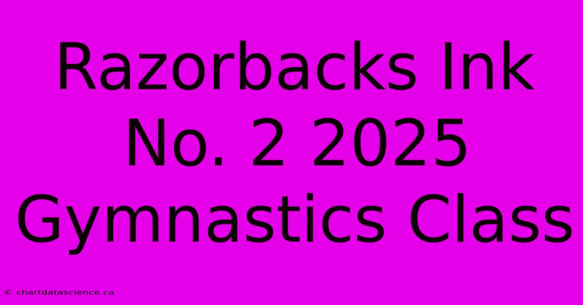 Razorbacks Ink No. 2 2025 Gymnastics Class