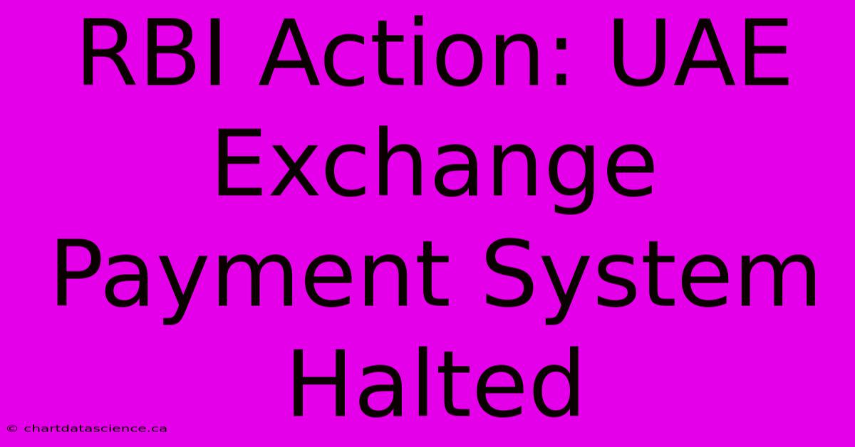 RBI Action: UAE Exchange Payment System Halted 