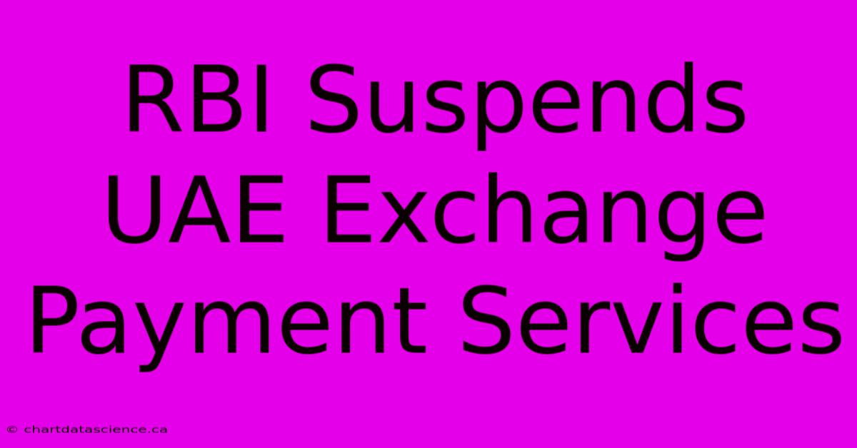 RBI Suspends UAE Exchange Payment Services 