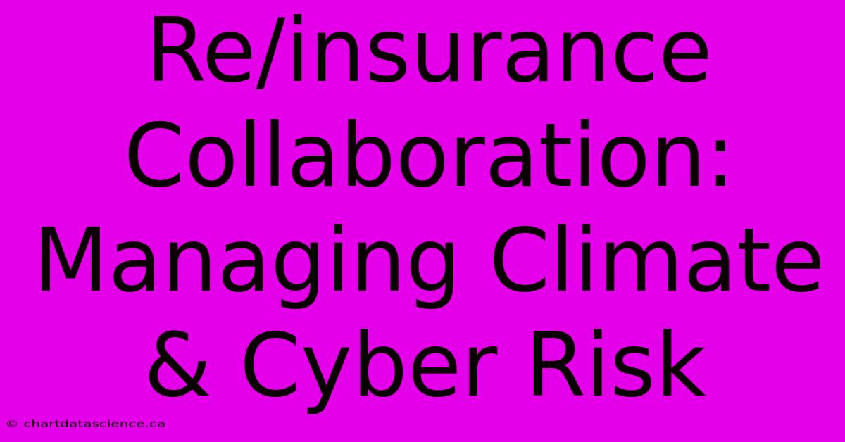 Re/insurance Collaboration: Managing Climate & Cyber Risk