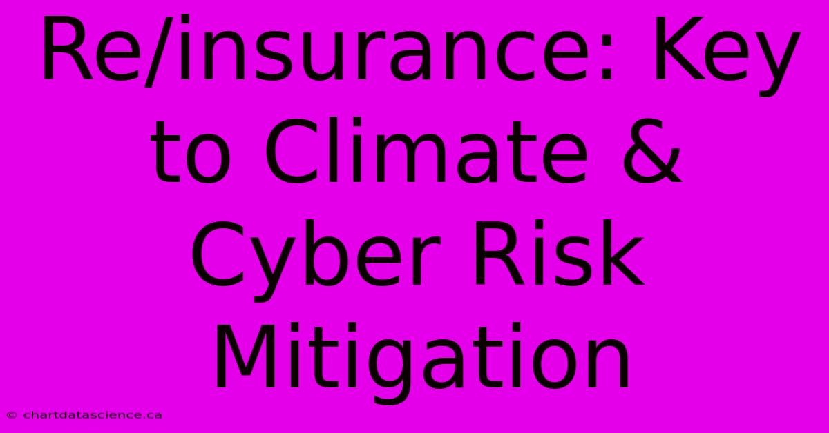 Re/insurance: Key To Climate & Cyber Risk Mitigation