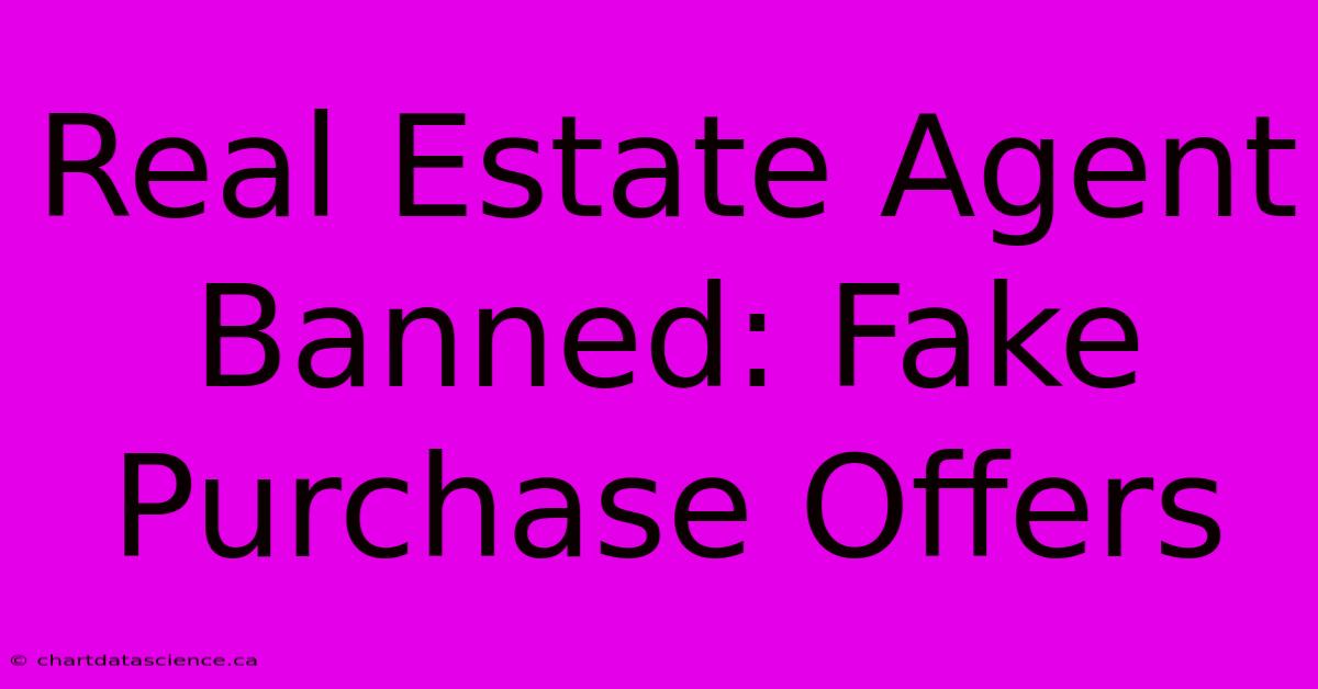 Real Estate Agent Banned: Fake Purchase Offers