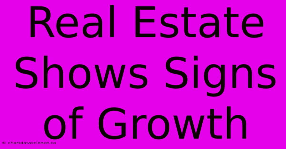 Real Estate Shows Signs Of Growth