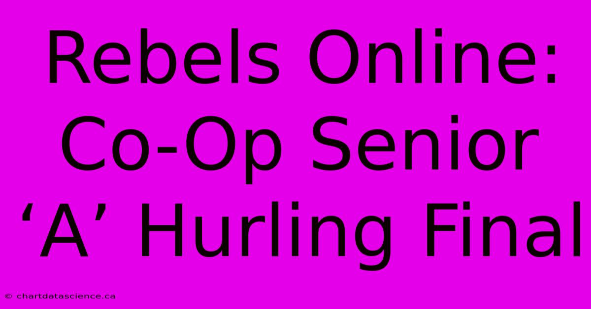 Rebels Online: Co-Op Senior ‘A’ Hurling Final