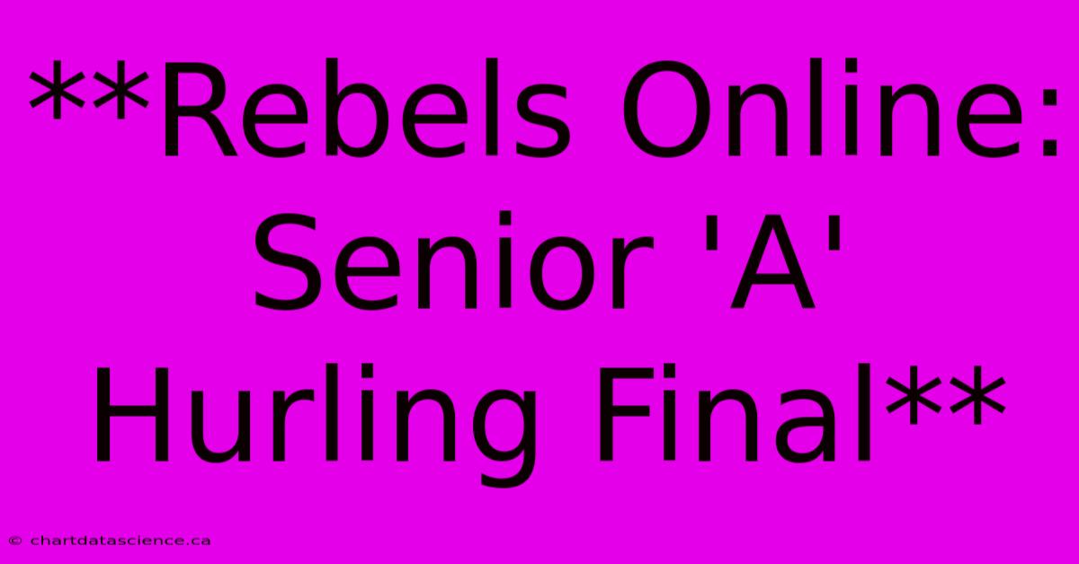 **Rebels Online: Senior 'A' Hurling Final**