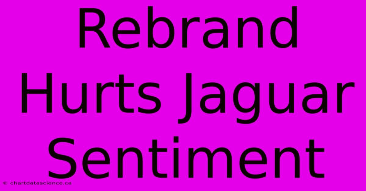 Rebrand Hurts Jaguar Sentiment