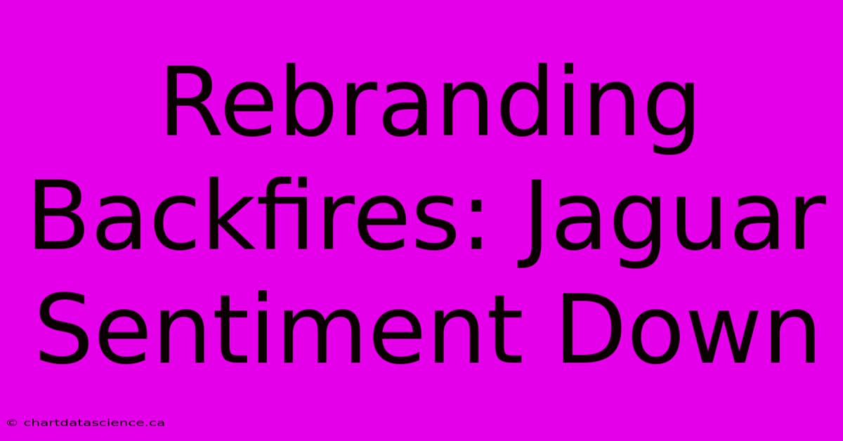 Rebranding Backfires: Jaguar Sentiment Down