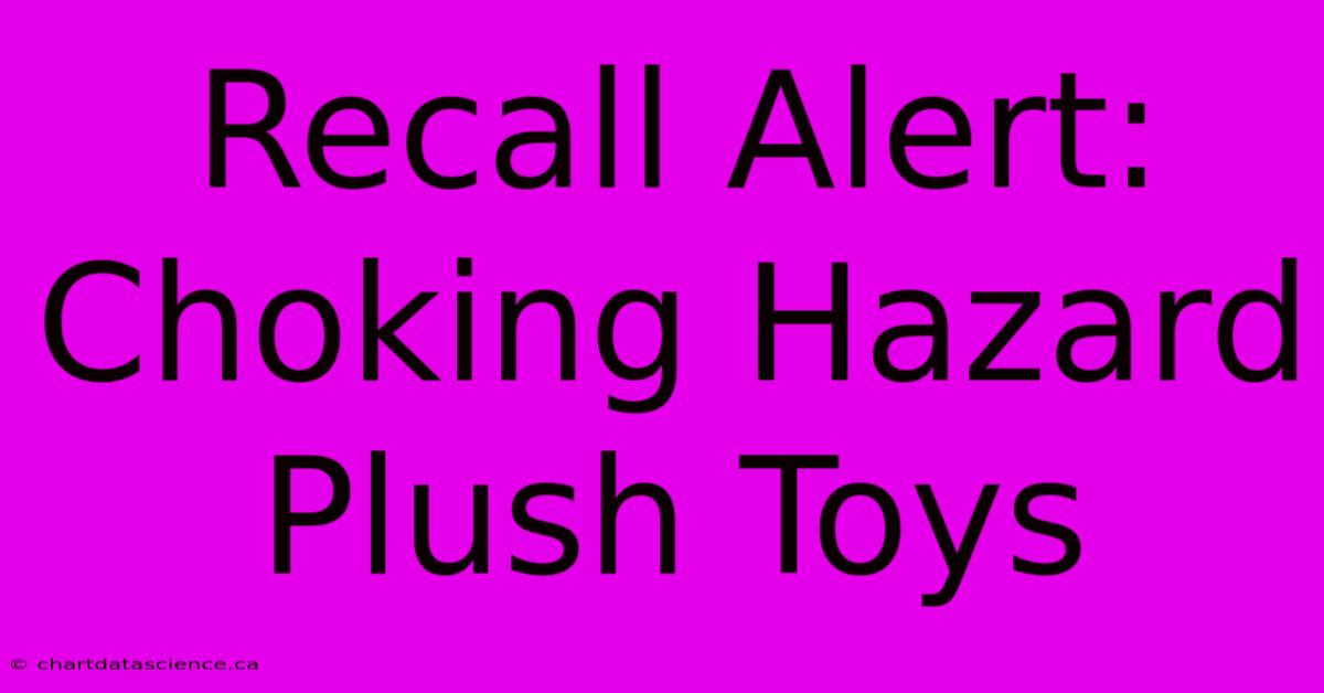 Recall Alert: Choking Hazard Plush Toys