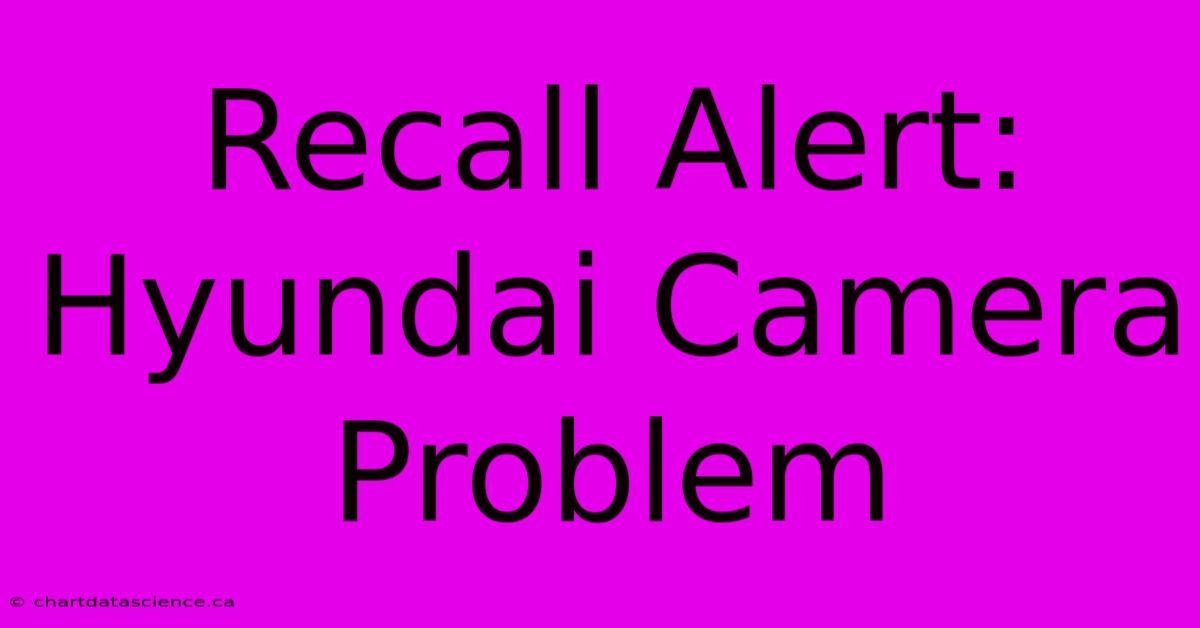 Recall Alert: Hyundai Camera Problem