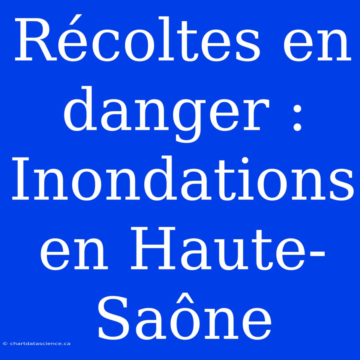 Récoltes En Danger : Inondations En Haute-Saône