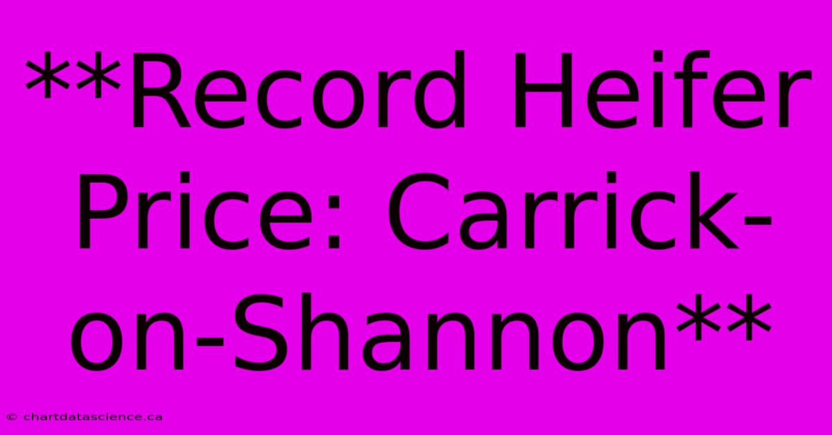 **Record Heifer Price: Carrick-on-Shannon**