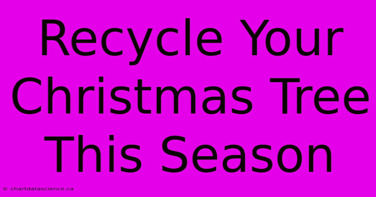 Recycle Your Christmas Tree This Season