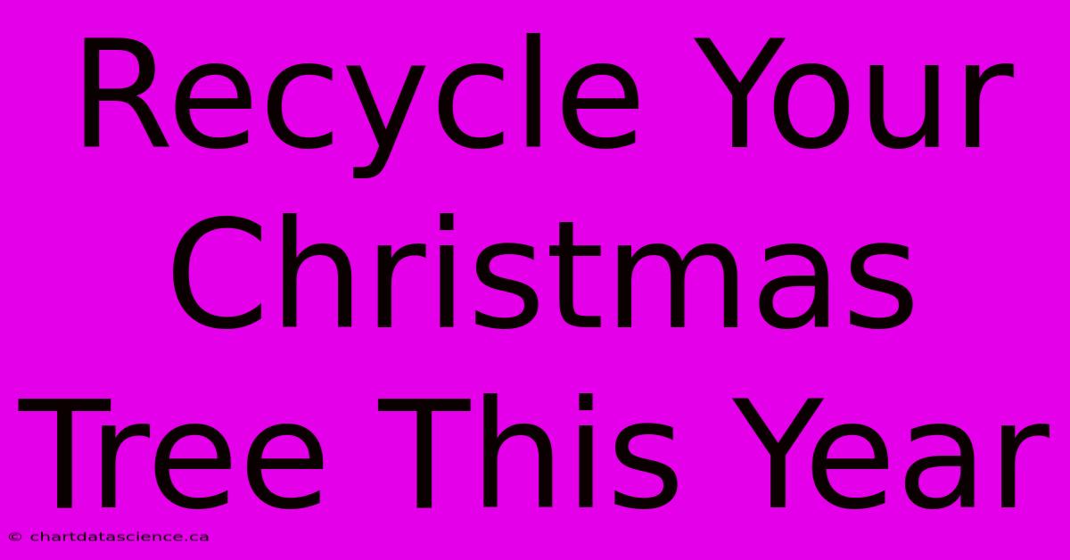 Recycle Your Christmas Tree This Year