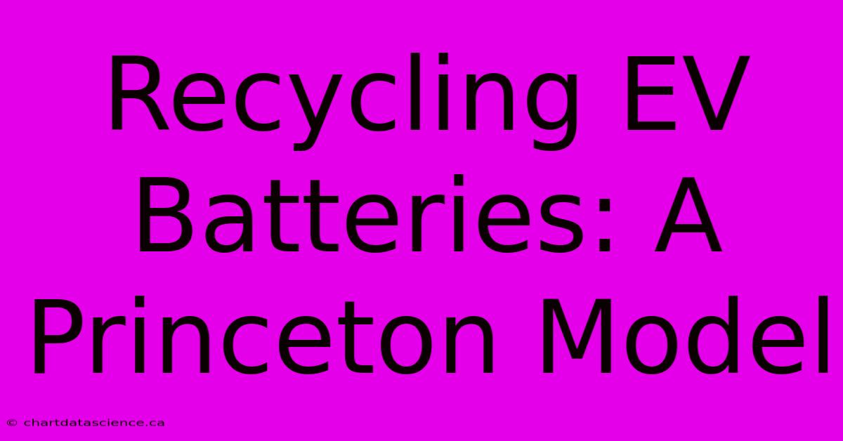 Recycling EV Batteries: A Princeton Model