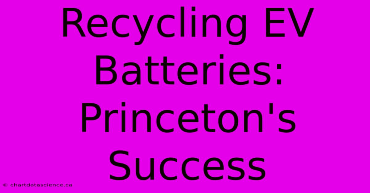 Recycling EV Batteries: Princeton's Success