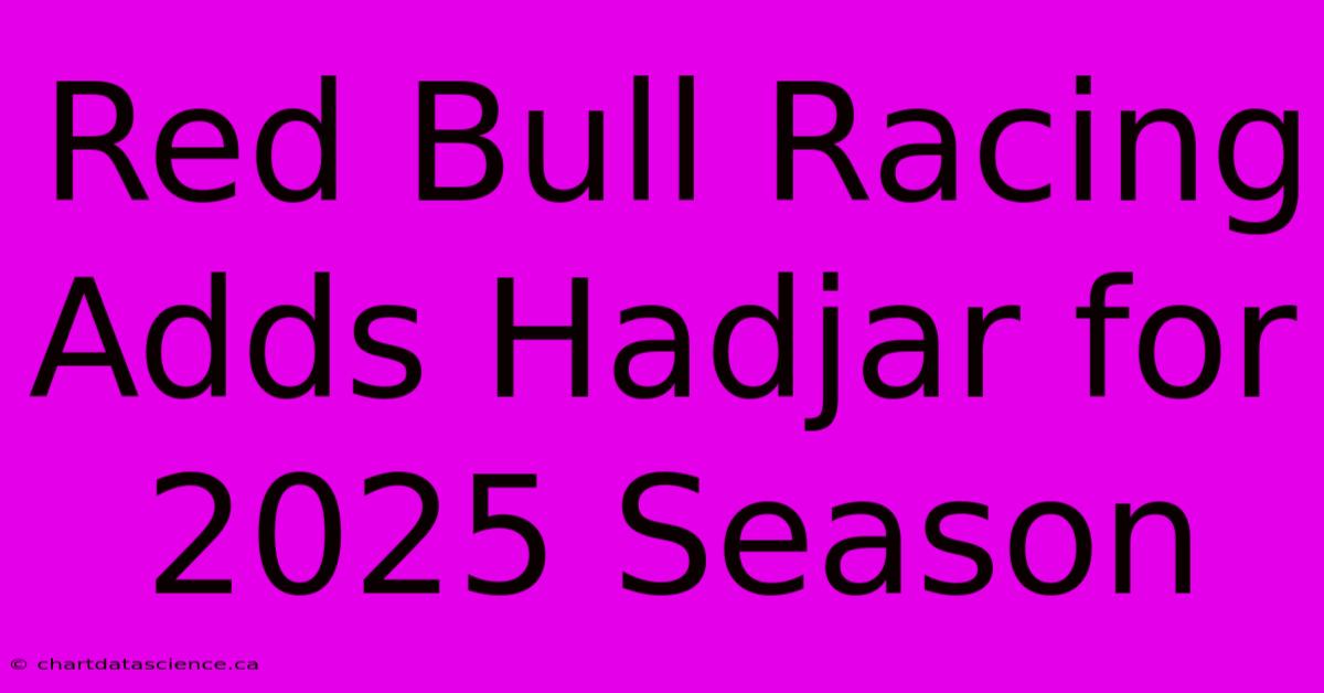 Red Bull Racing Adds Hadjar For 2025 Season