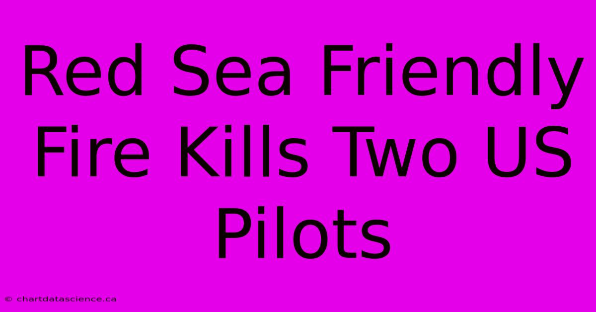 Red Sea Friendly Fire Kills Two US Pilots