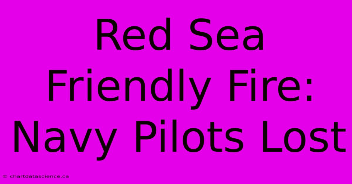 Red Sea Friendly Fire: Navy Pilots Lost