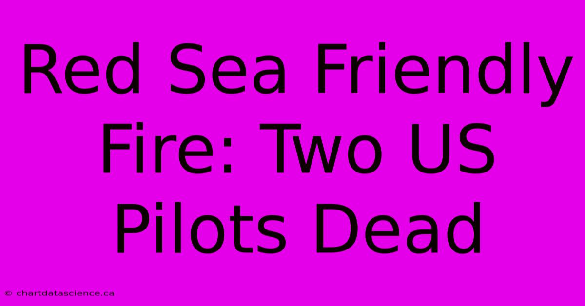 Red Sea Friendly Fire: Two US Pilots Dead