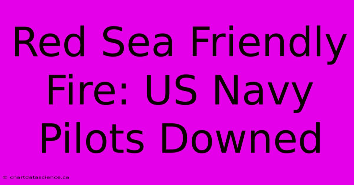 Red Sea Friendly Fire: US Navy Pilots Downed