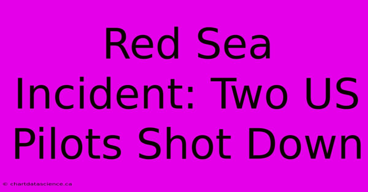 Red Sea Incident: Two US Pilots Shot Down