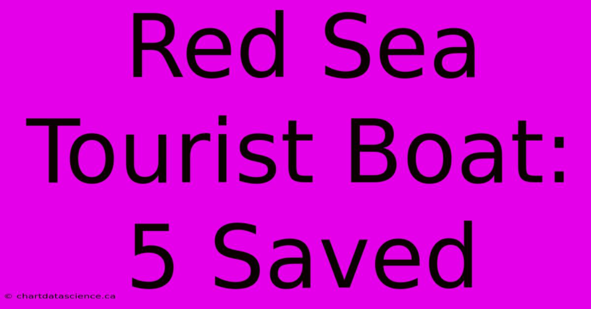 Red Sea Tourist Boat: 5 Saved