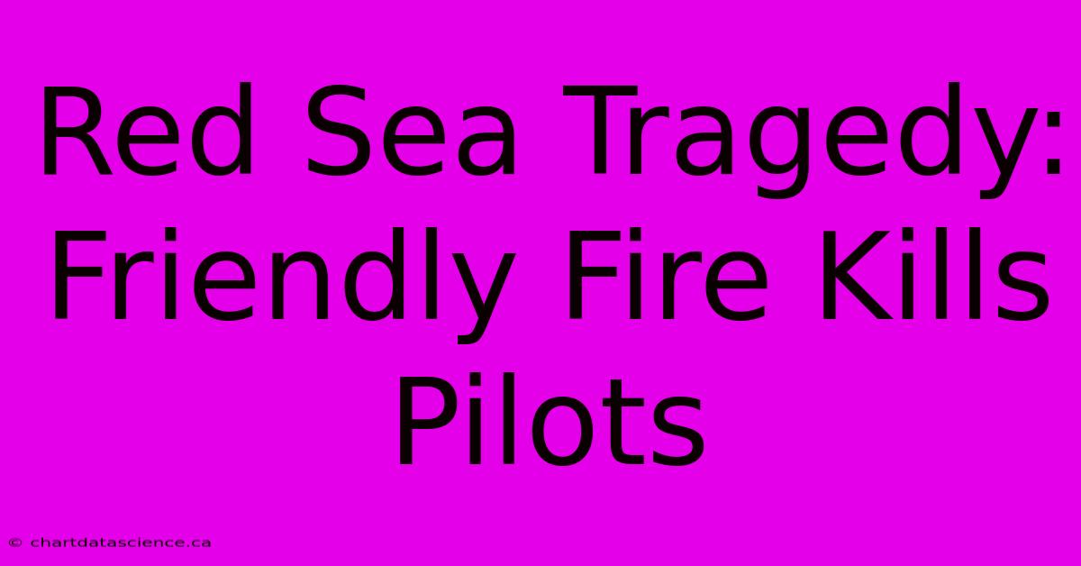 Red Sea Tragedy: Friendly Fire Kills Pilots