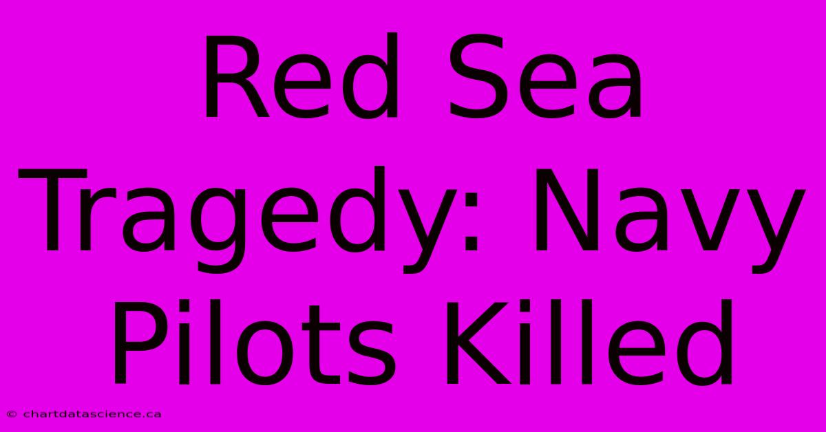 Red Sea Tragedy: Navy Pilots Killed