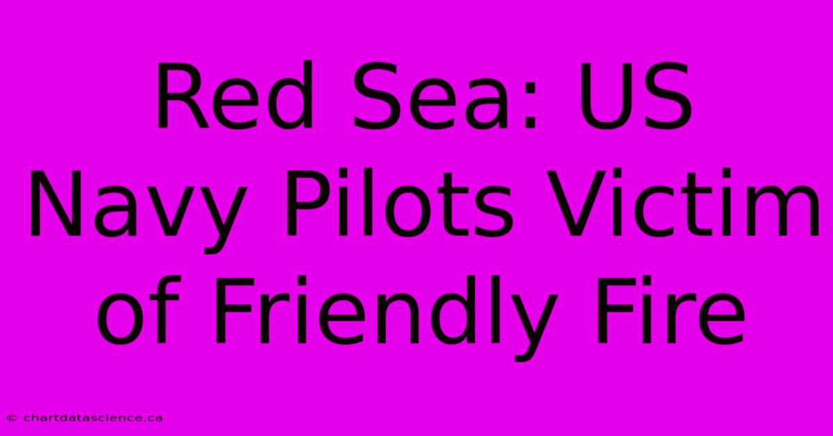 Red Sea: US Navy Pilots Victim Of Friendly Fire