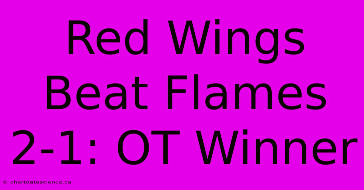 Red Wings Beat Flames 2-1: OT Winner